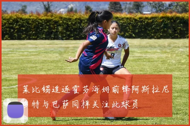 莱比锡追逐霍芬海姆前锋阿斯拉尼多特与巴萨同样关注此球员
